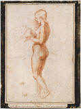 Raffaello-nude-1917-louvre