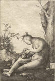 lucas-van-leyden-1510-nackte-frau-einem-hund-die-floehe-absuchend