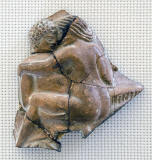 Ceramica-fabricada-en-Cnido-Anatolia-siglos-II-III-dc-en-el-Museu-Nacional-Arqueologic-de-Tarragona.