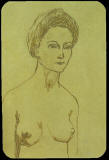 picaso-desnudo-1902
