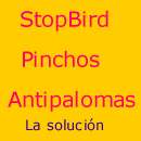 StopBird pinchos antipalomas